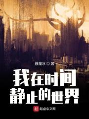 时间静止世界全部世界