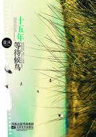 十五年等待候鸟女主