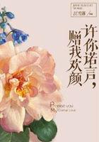 许你诺言赠我欢颜 江雪落